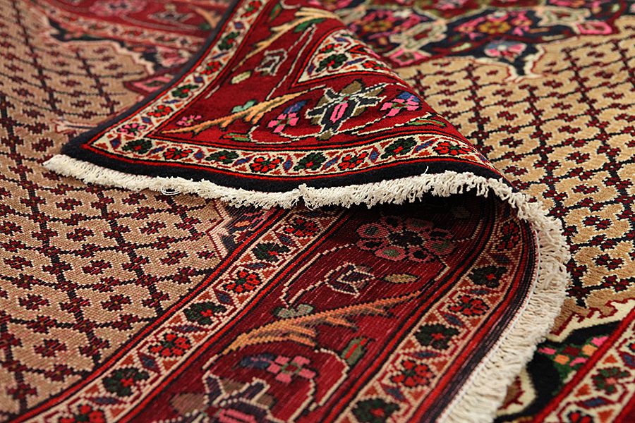 Songhor - Koliai Perser Teppich 305x153 - Abbildung 4
